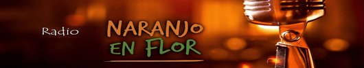 Radio Naranjo en Flor, una voz del Movimiento Nacional y Popular