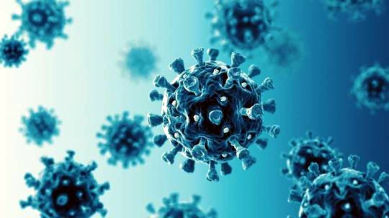 coronavirus SARS-CoV-2